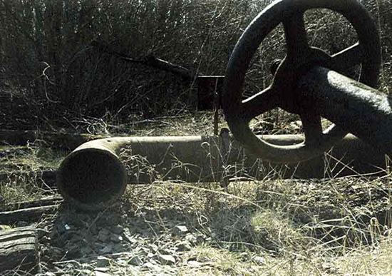 Bild 51 im Geb&uuml;sch liegender Wasserkrahn
